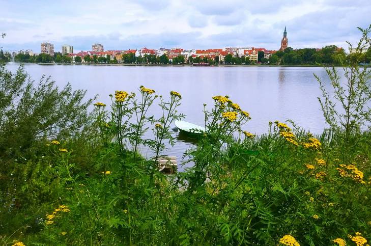 129ce543ed69282d47af98cb3672aeb8