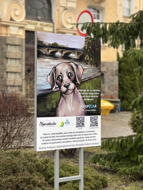 PRZY URZĘDZIE MIASTA EŁKU STANĘŁA WYJĄTKOWA TABLICA, KT&Oacute;RA WSPOMOŻE ADOPCJĘ PS&Oacute;W